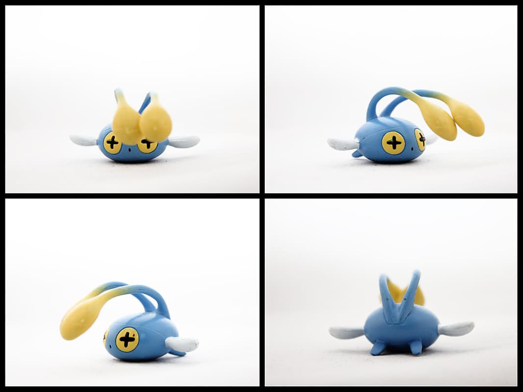 Chinchou Standard