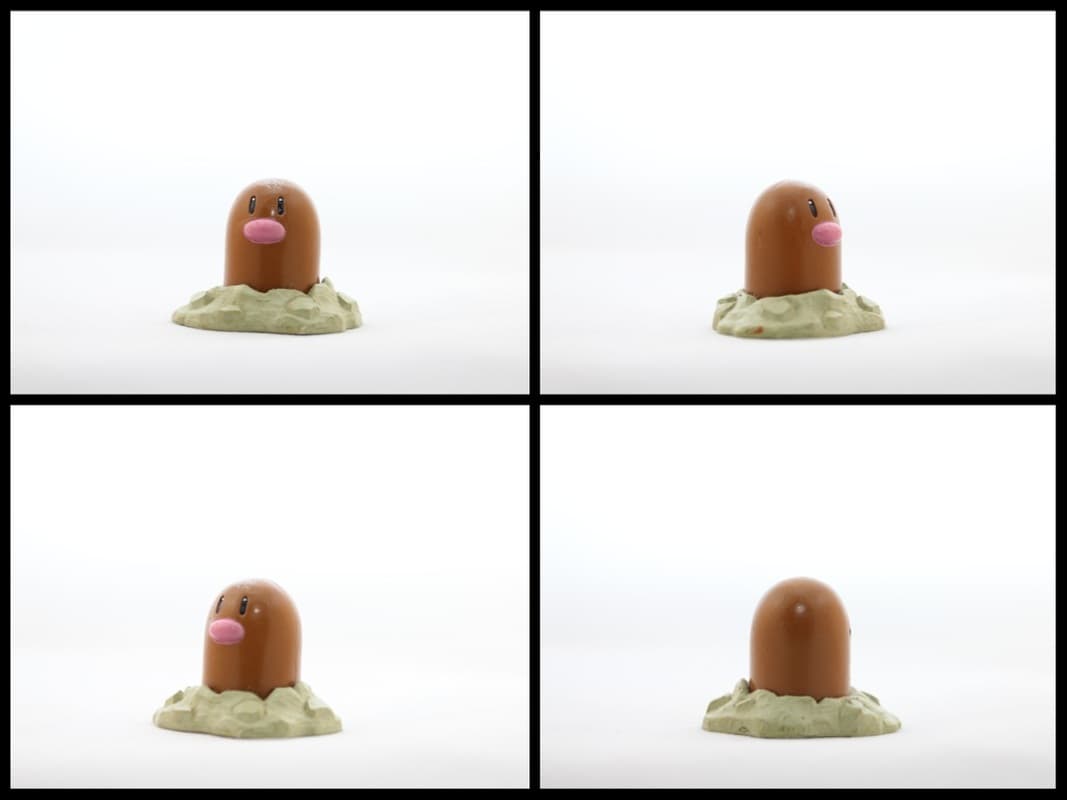 Diglett Standard
