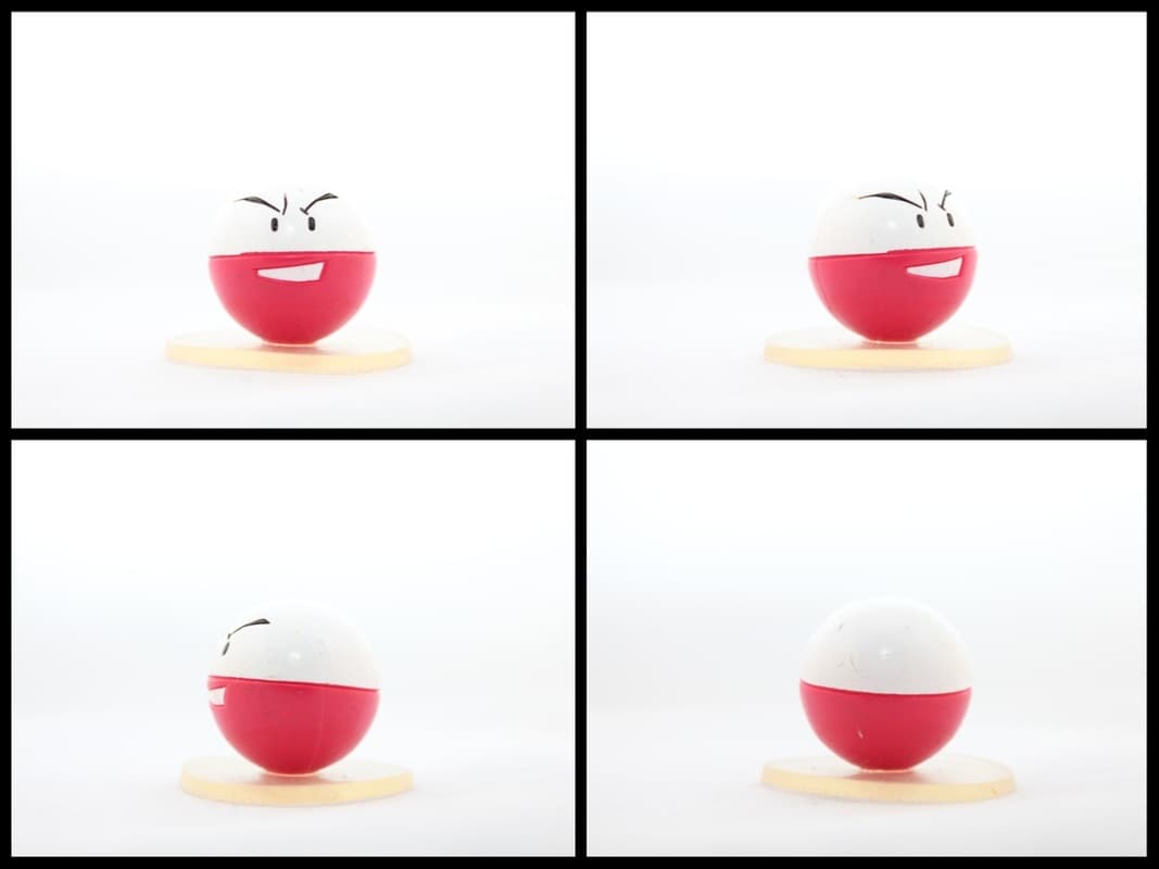 Electrode Padrão