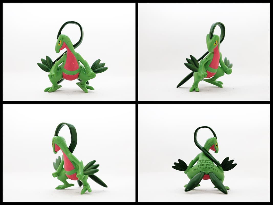 Grovyle Standard