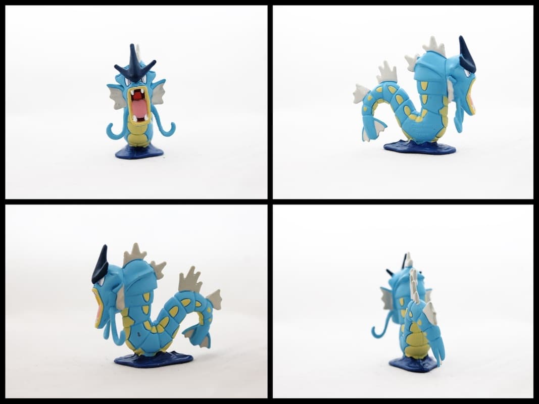 Gyarados Matte
