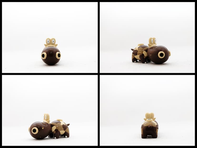 Hippopotas — Female Tomy