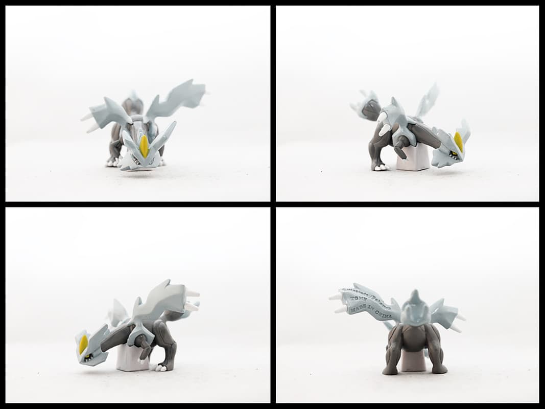 Kyurem Standard