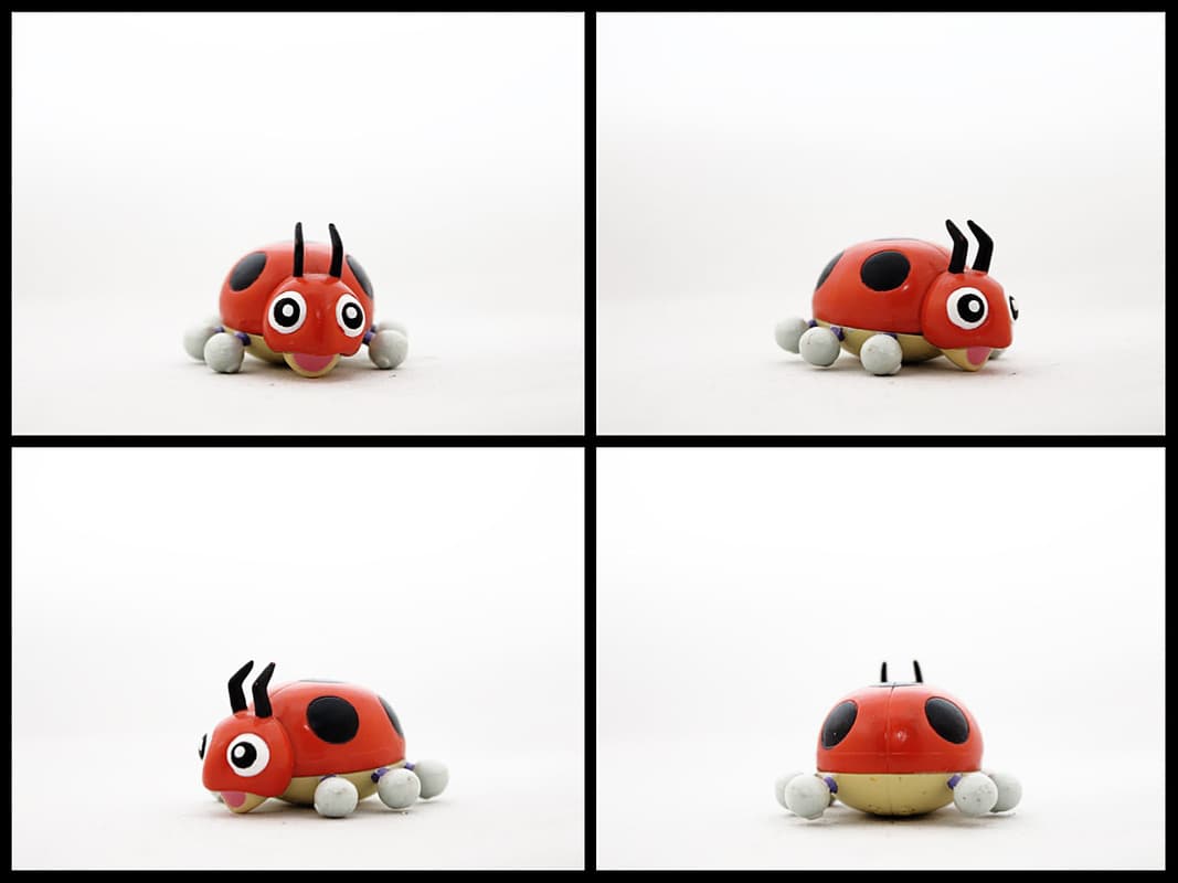 Ledyba Standard