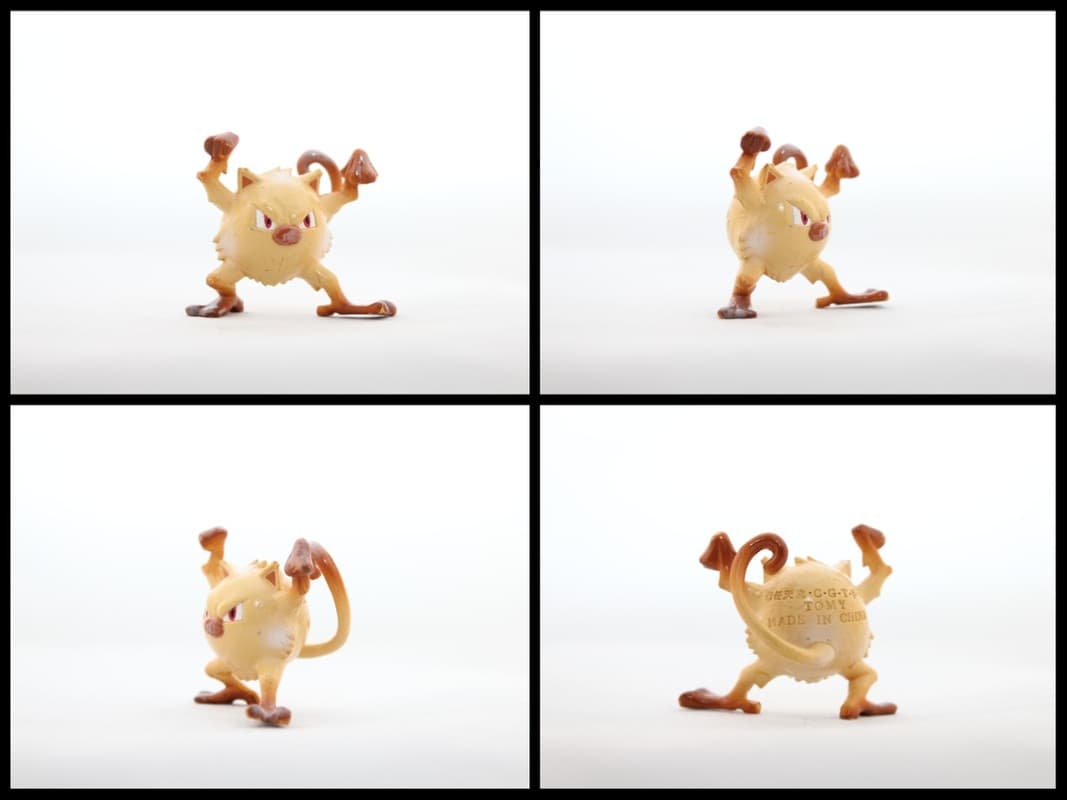 Mankey Standard