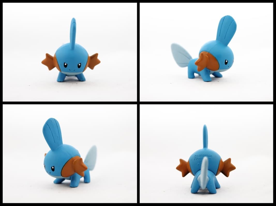Mudkip Battle Pose