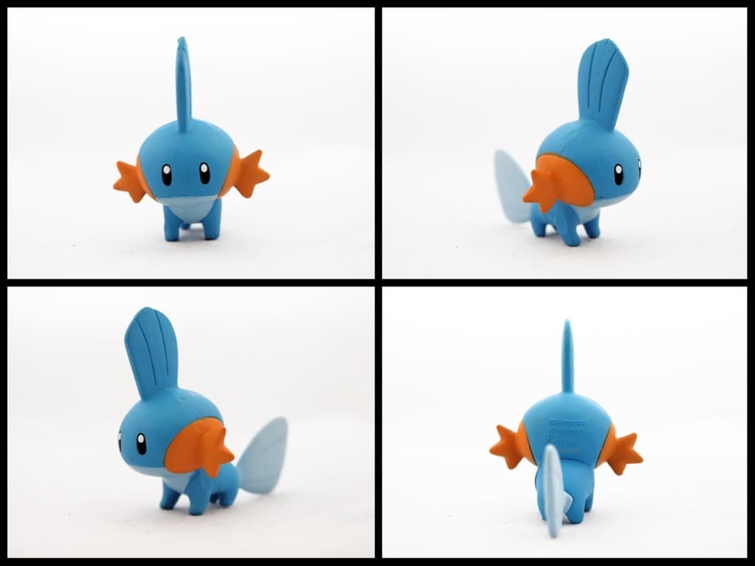 Mudkip Matte