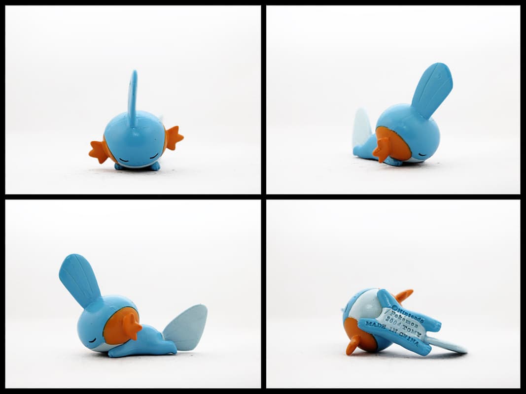 Mudkip Sleeping Pose