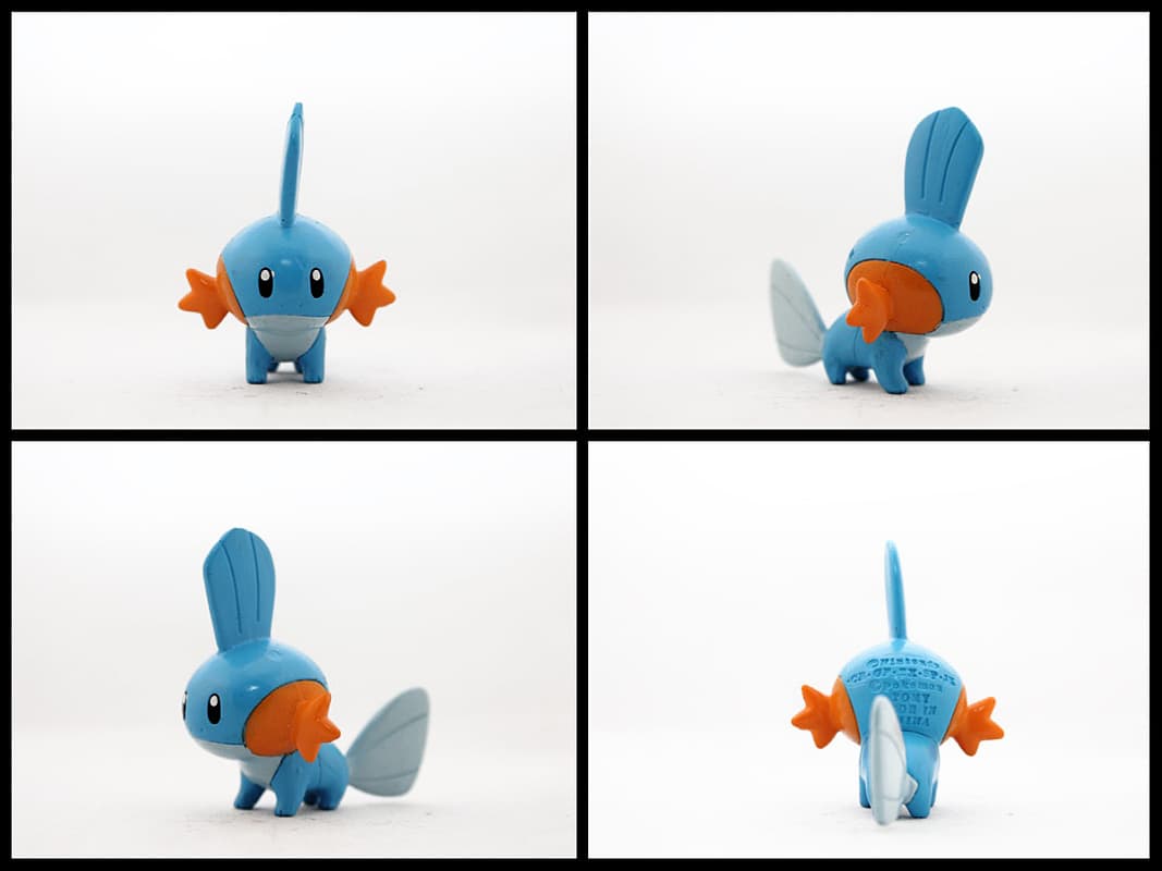 Mudkip Standard