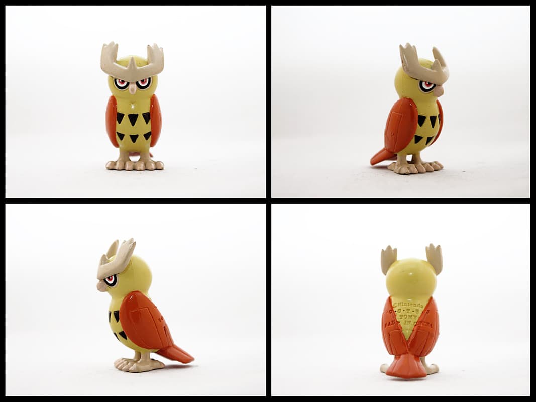 Noctowl