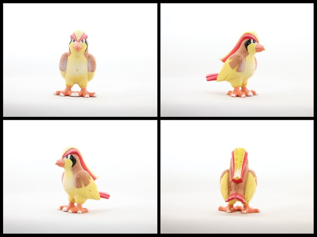 Pidgeot Standard