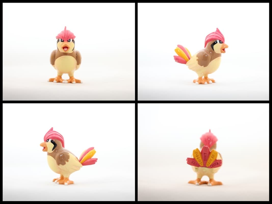 Pidgeotto New Color Tone