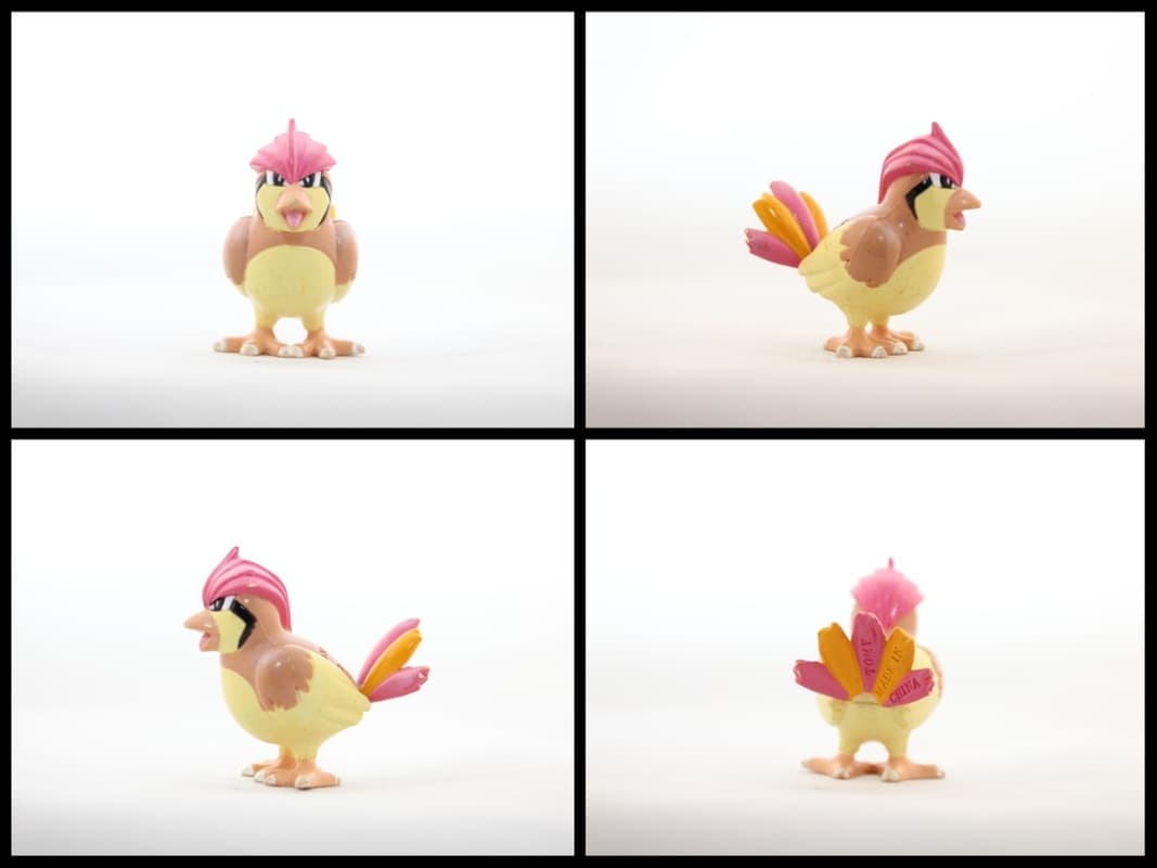 Pidgeotto Standard