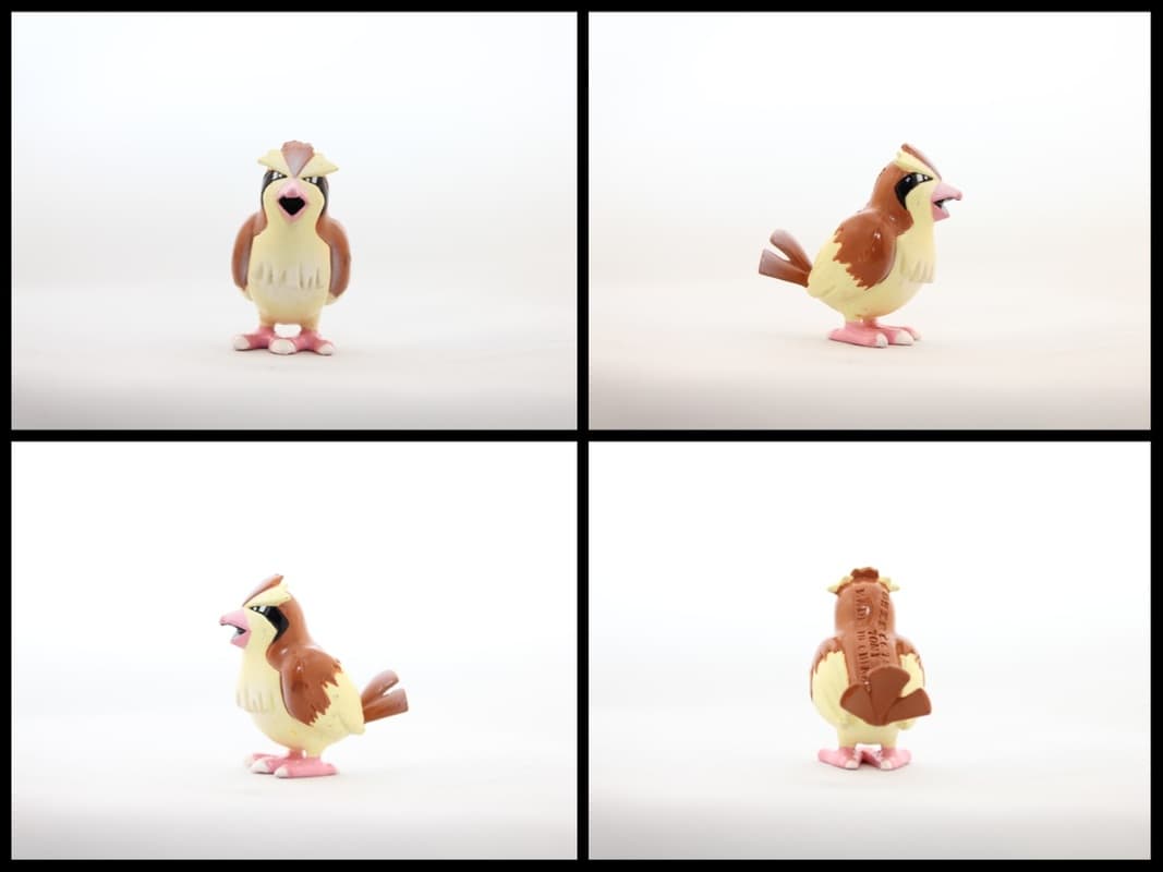 Pidgey Standard