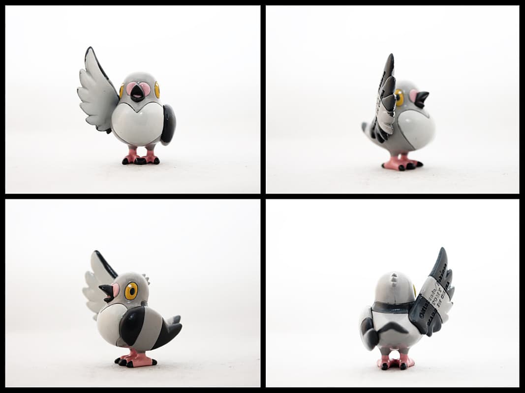 Pidove Standard