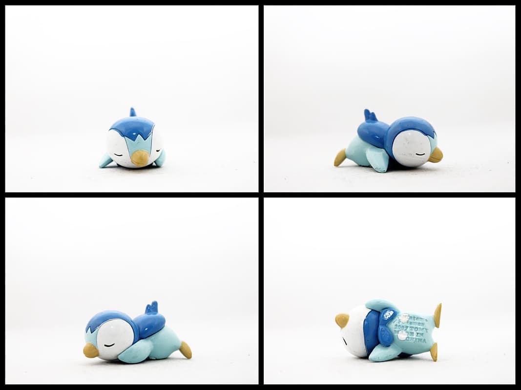 Piplup Sleeping