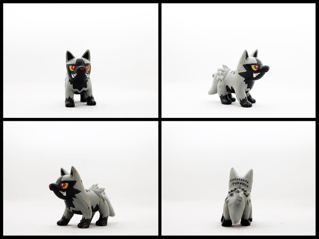 Poochyena Standard