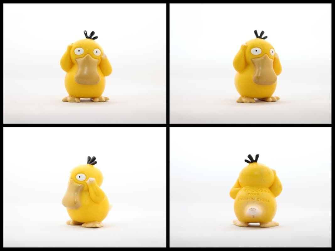 Psyduck Standard