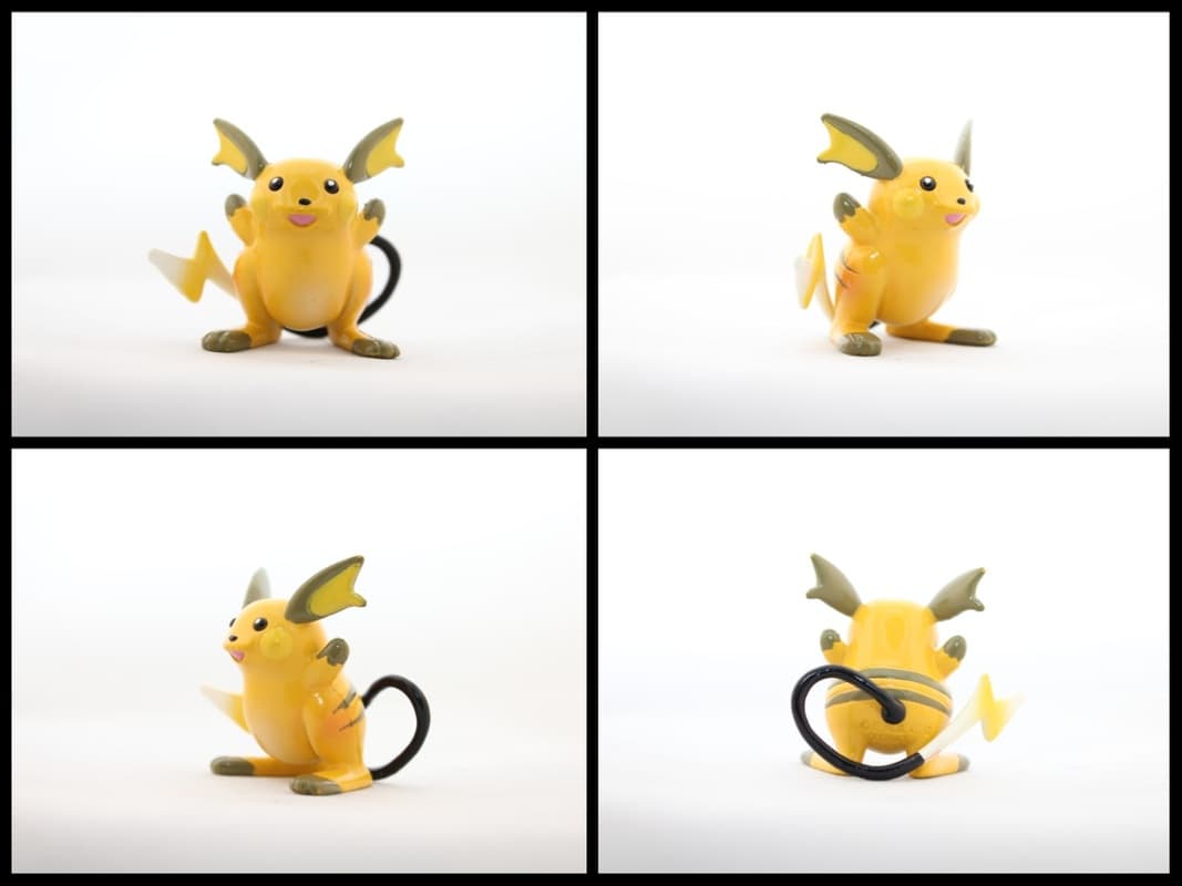 Raichu Standard