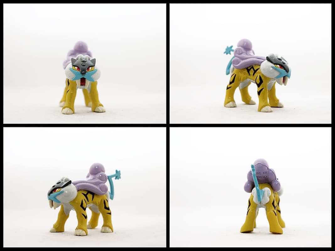 Raikou Standard