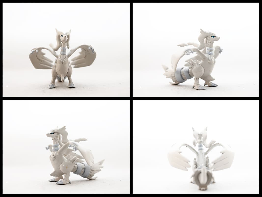 Reshiram Standard