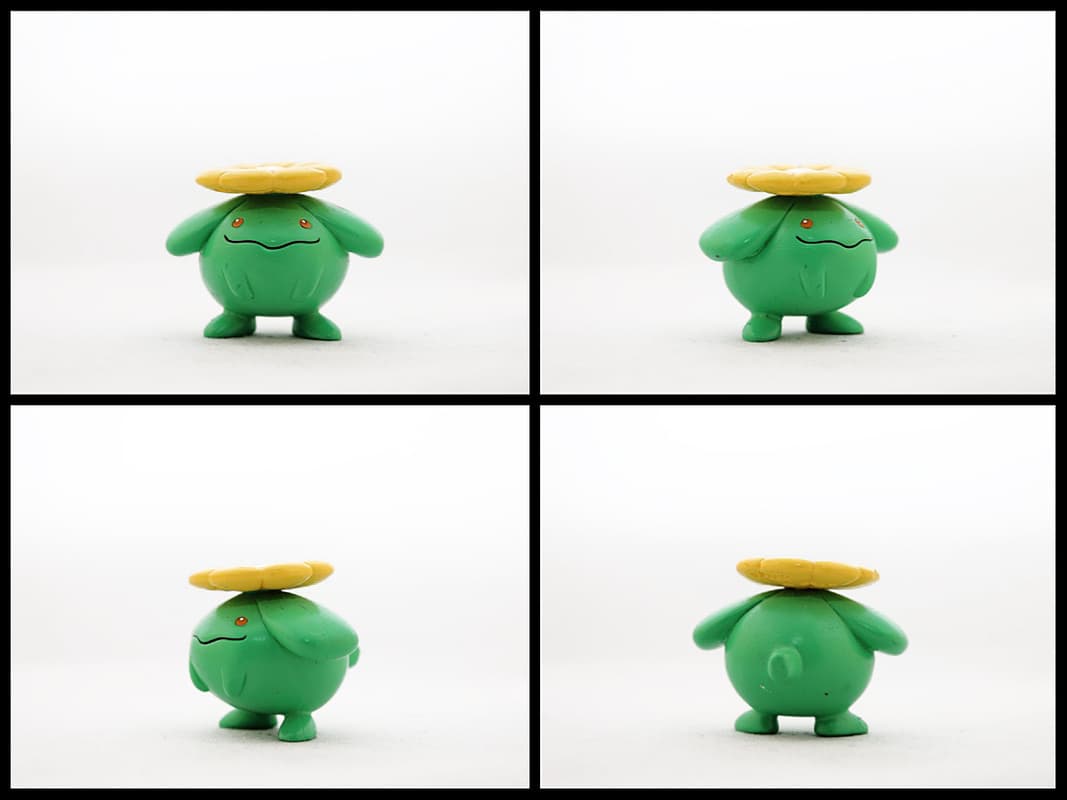 Skiploom Standard