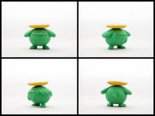 Skiploom