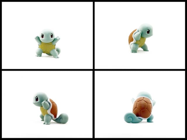 Squirtle Battle Pose