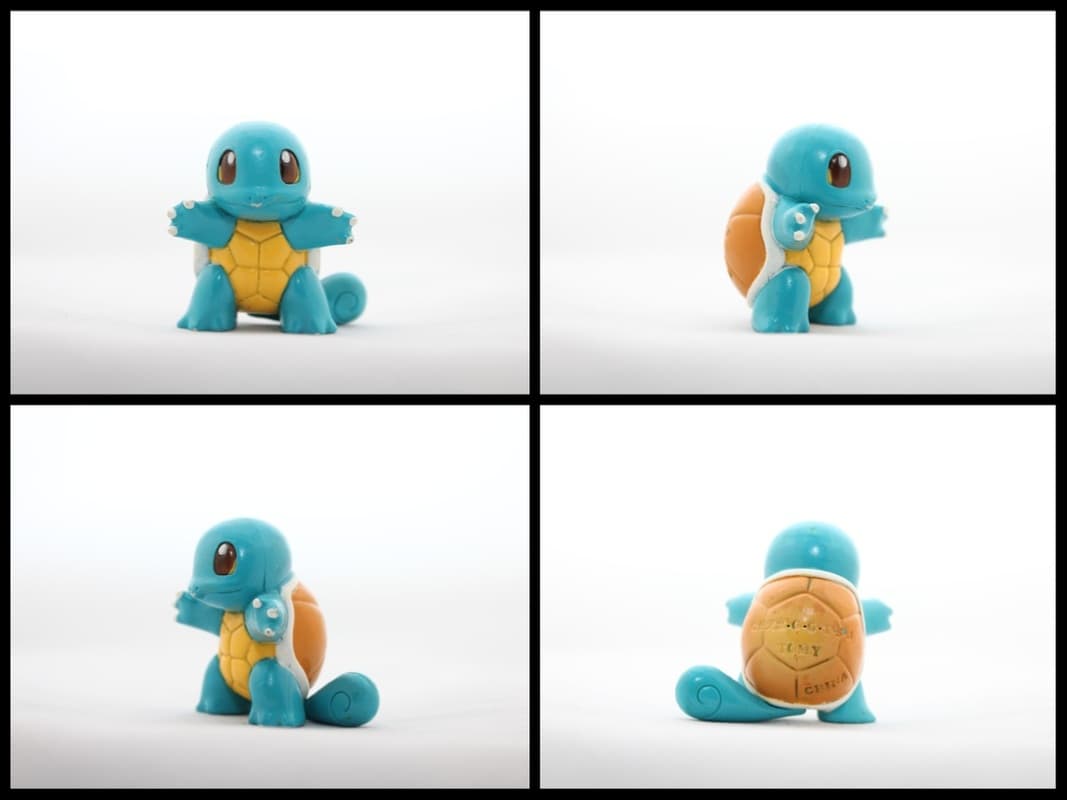 Squirtle Standard