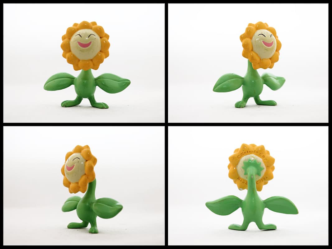 Sunflora Standard