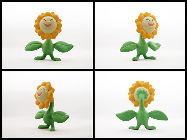 Sunflora Standard