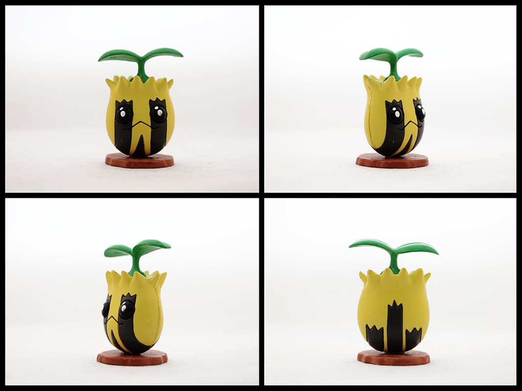 Sunkern Standard