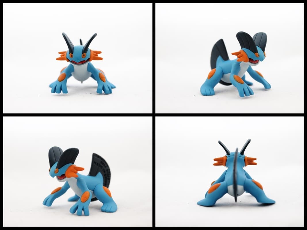 Swampert Matte