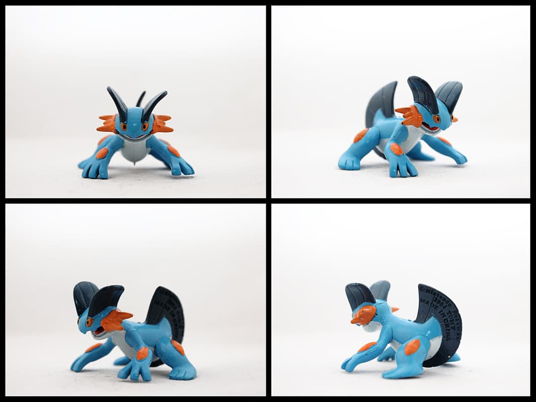 Swampert Standard