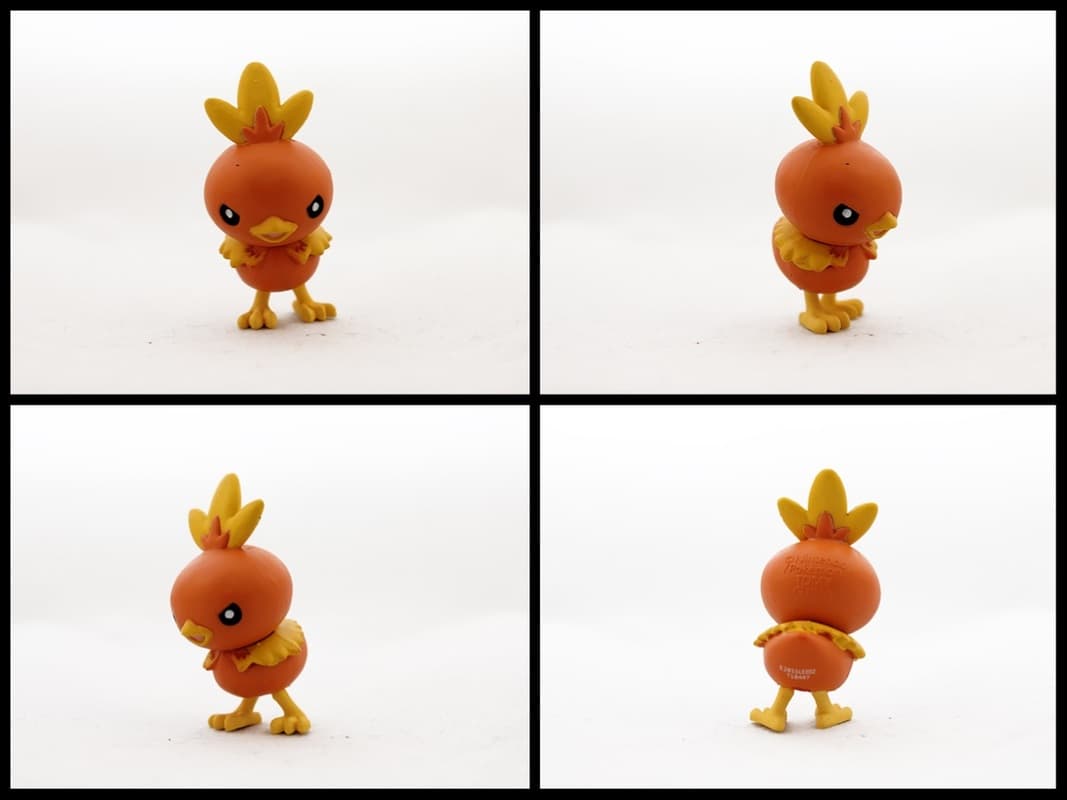 Torchic Battle Pose
