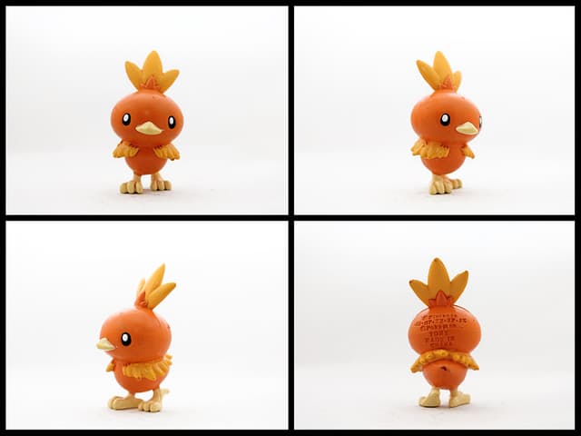 Torchic Standard