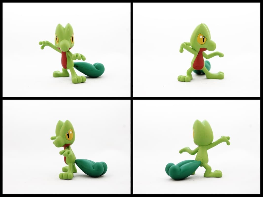Treecko Batte Pose