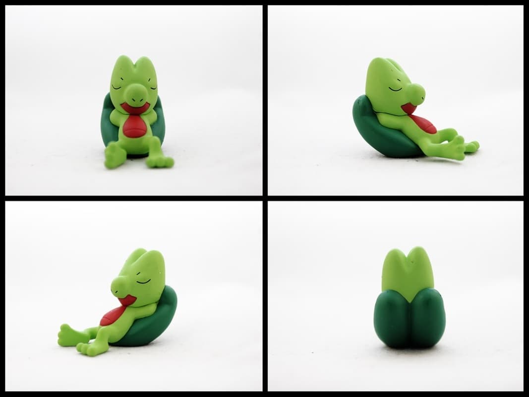 Treecko Sleeping