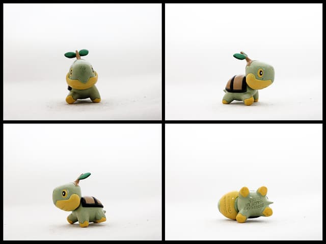 Turtwig PlaySet