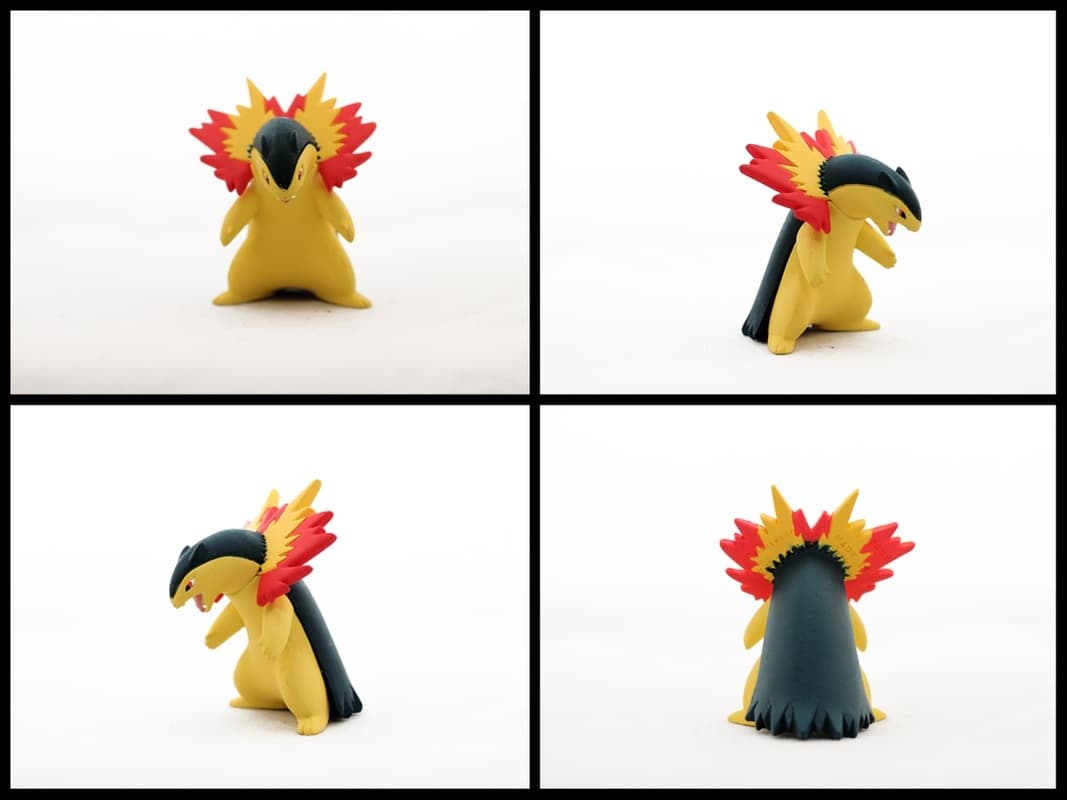 Typhlosion Matte