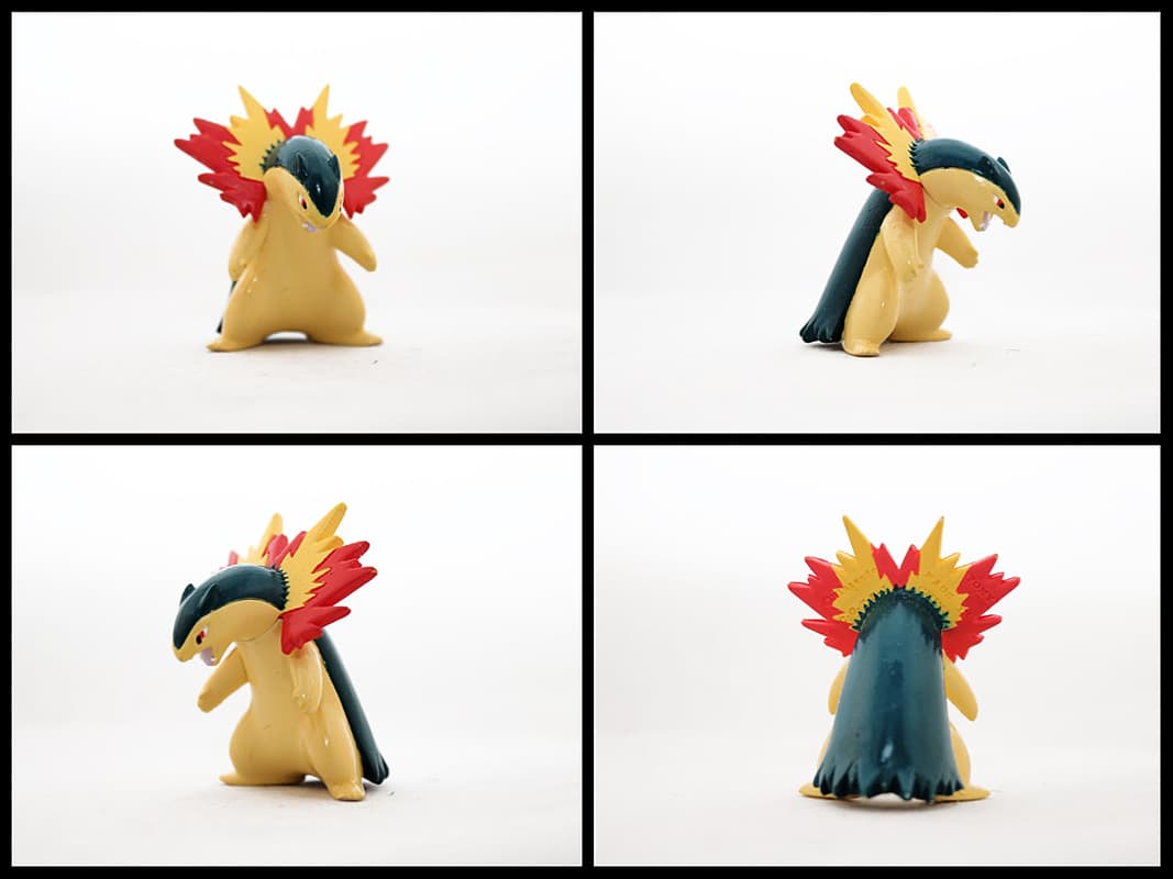 Typhlosion Standard
