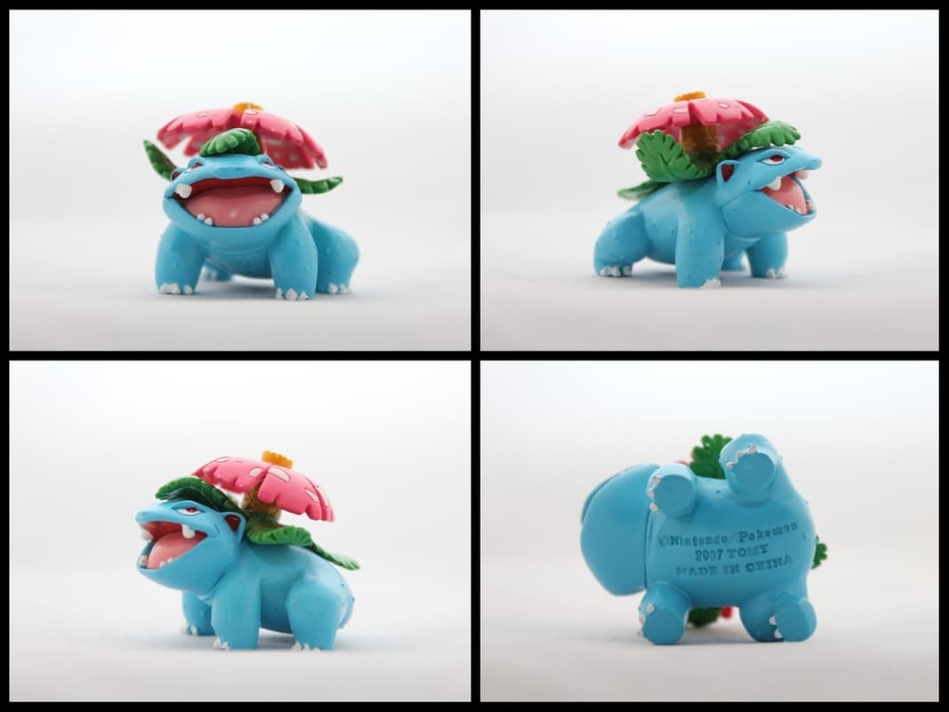 Venusaur Battle Pose
