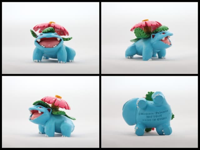 Venusaur Battle Pose