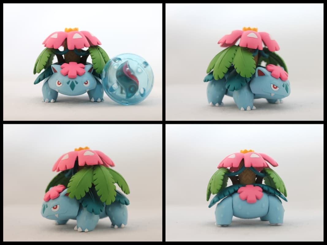 Venusaur Mega