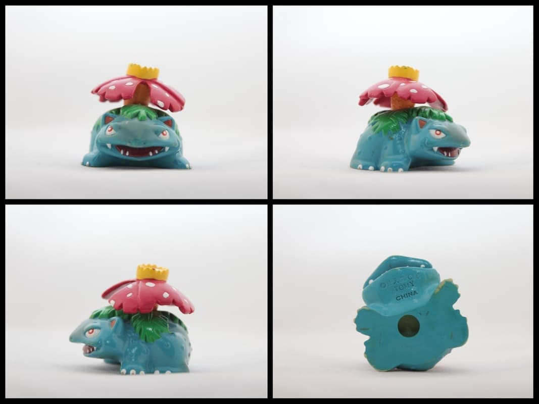 Venusaur Standard