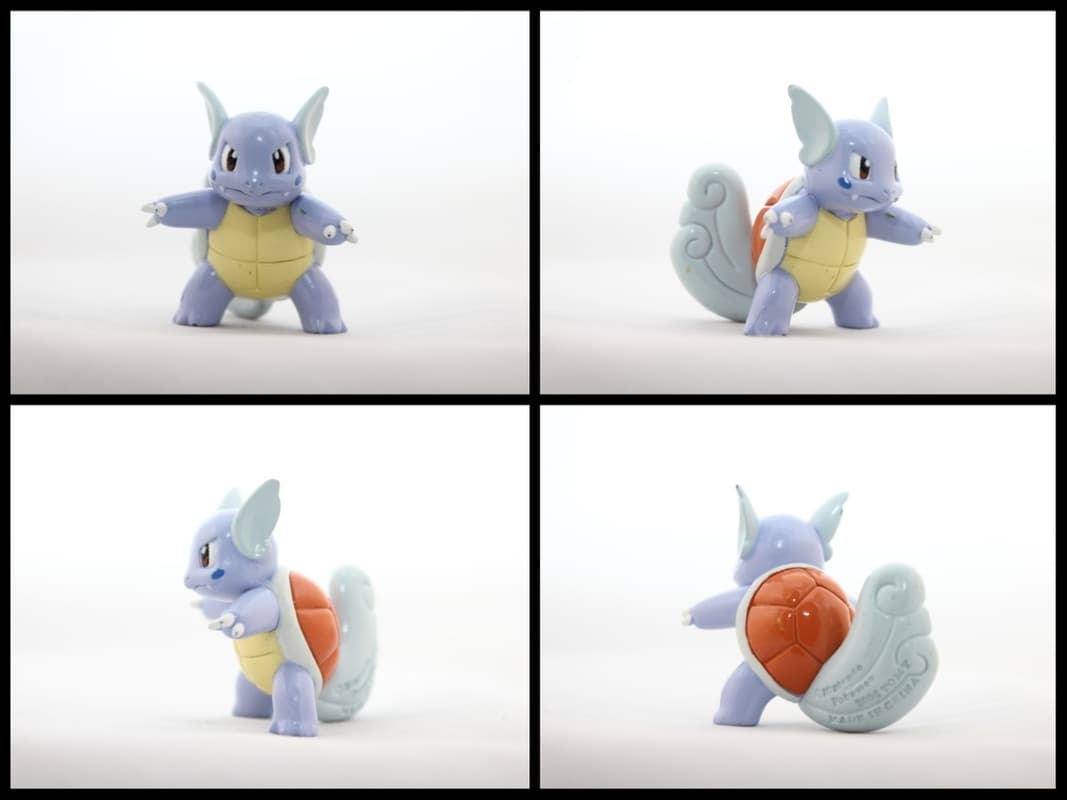 Wartortle Alternative Pose
