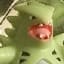 Tyranitar Tyranitar — Falkner Battle Pack (con Teddiursa)