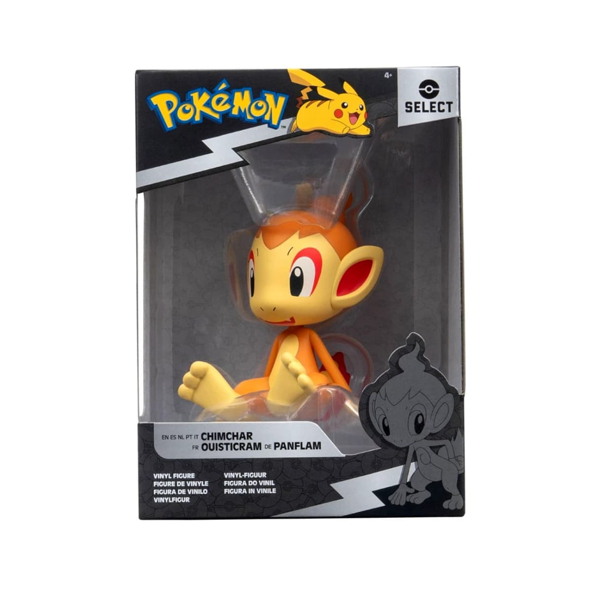 Chimchar Standard