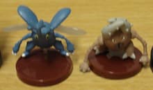 Heracross
