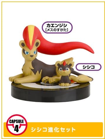 シシコ XY03 · Cápsula 4: Litleo ・ Pyroar